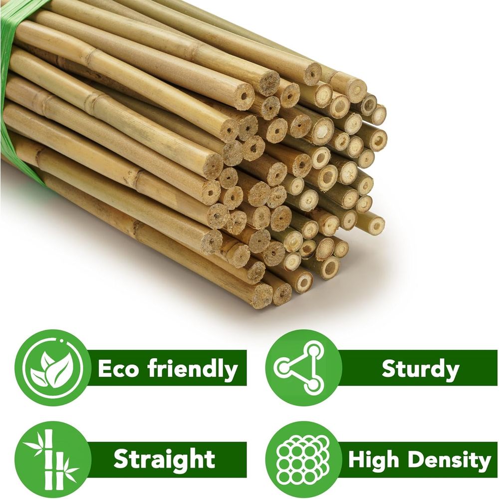 70-Pack 4-Foot Natural Bamboo  - Plant Support Stake review and price