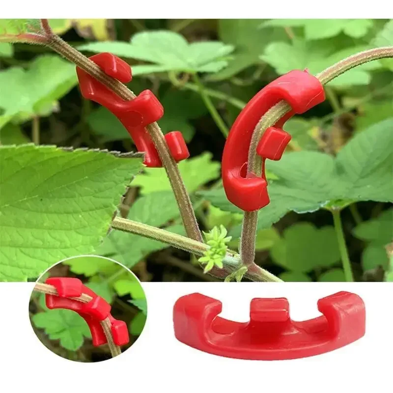 10-100Pcs Low Stress Training  - Gardening Tools Lowes review and price