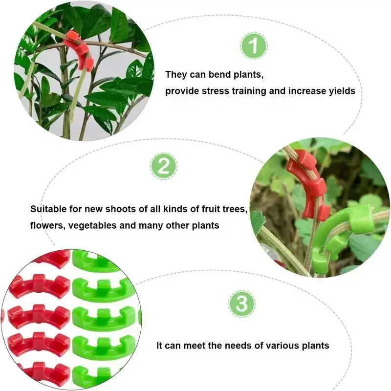 10-100Pcs Low Stress Training  - Gardening Tools Lowes review and price