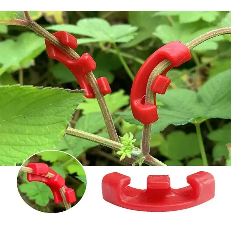10-100Pcs 90 Degree Plant Bend - Gardening Tools Lowes review and price