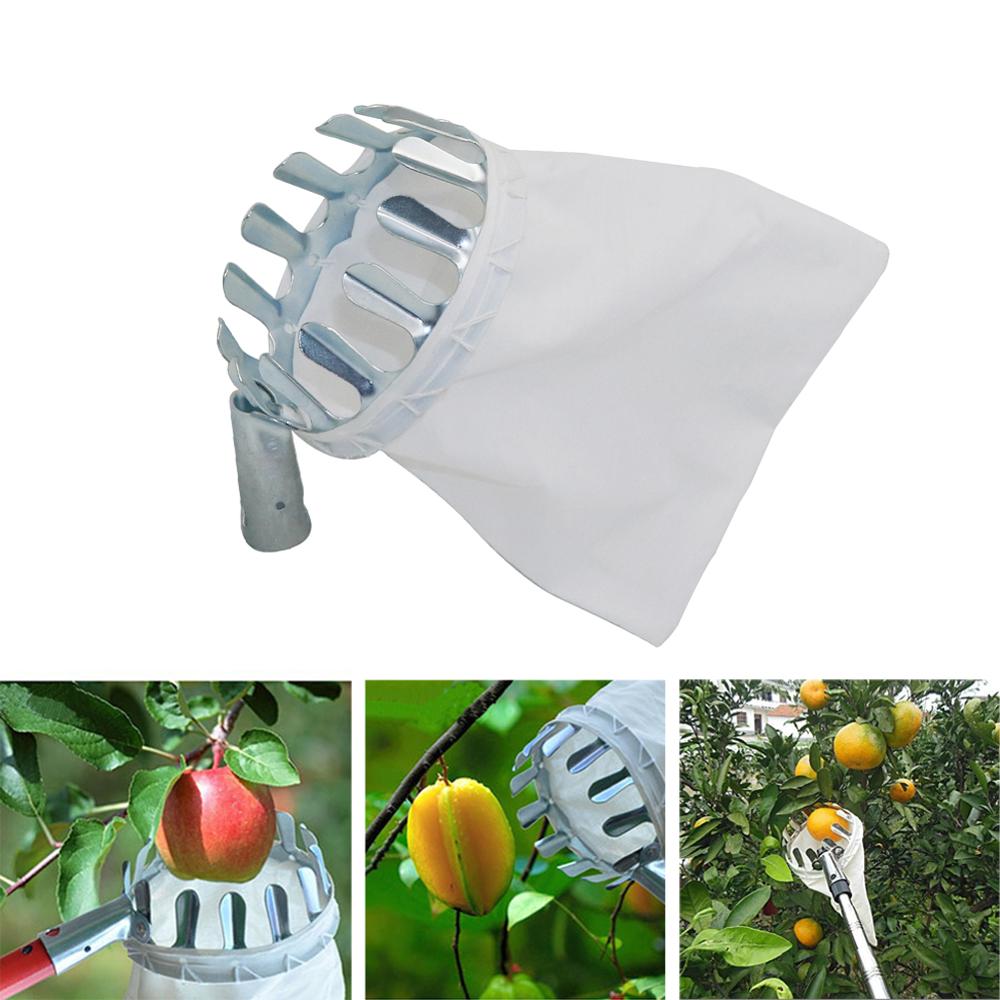 Garden Pruning Fruit Picker Ga - Gardening Tools Long review and price
