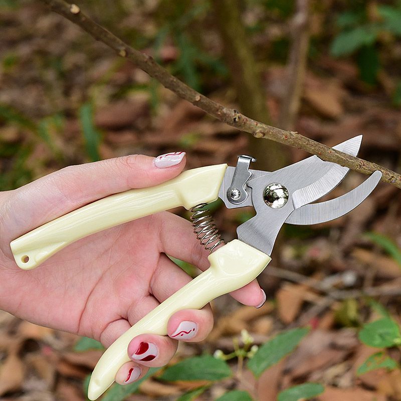 Labor‑Saving Garden Pruning Sh - Gardening Tools Basic review and price