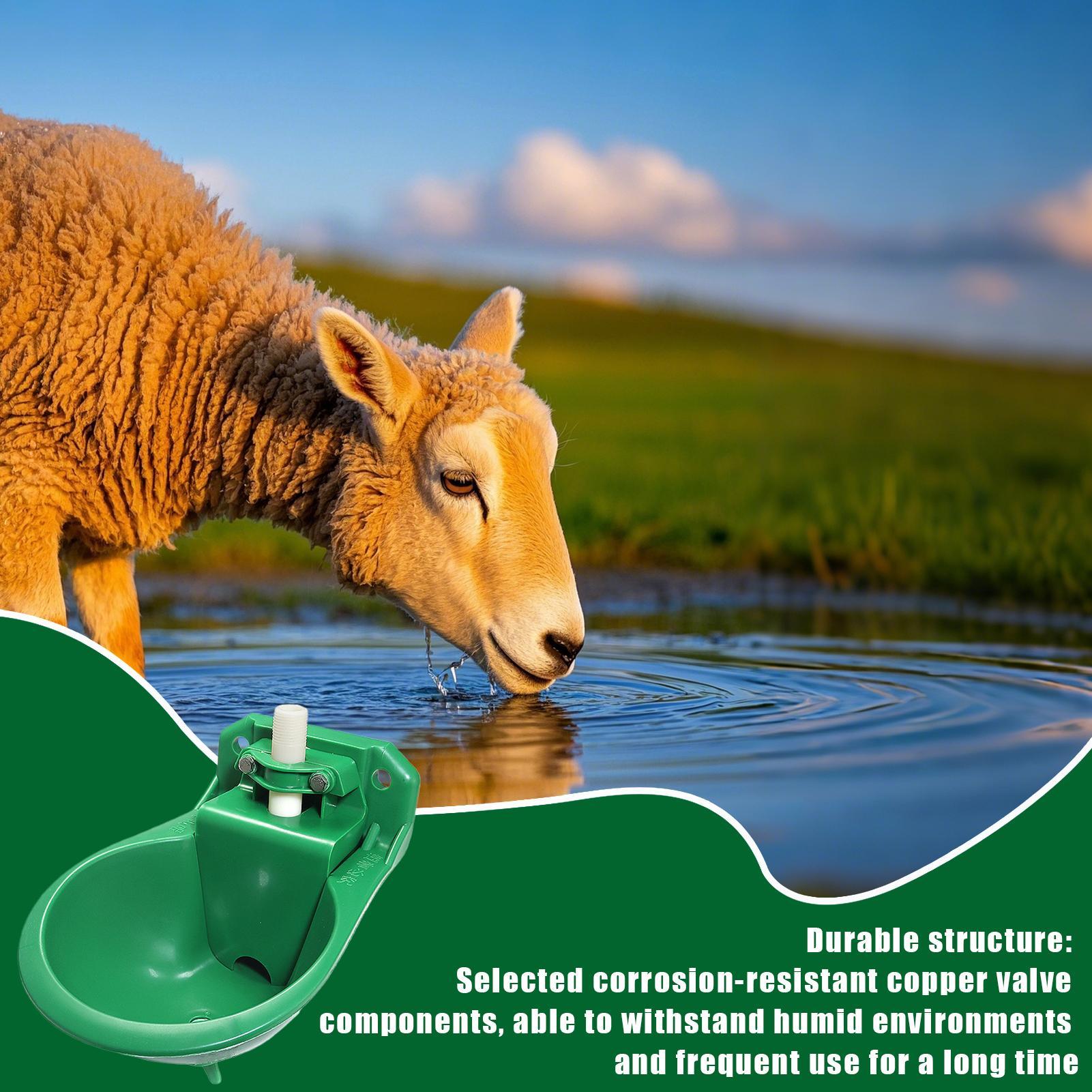 Horse Water Drinker Bowl With  - Gardening Tools For Women review and price