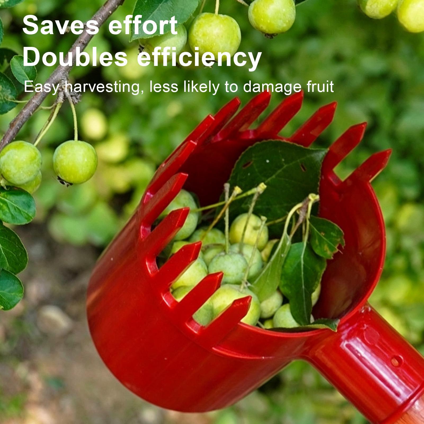 Fruit Harvester Tool Thickened - Gardening Tools Long review and price