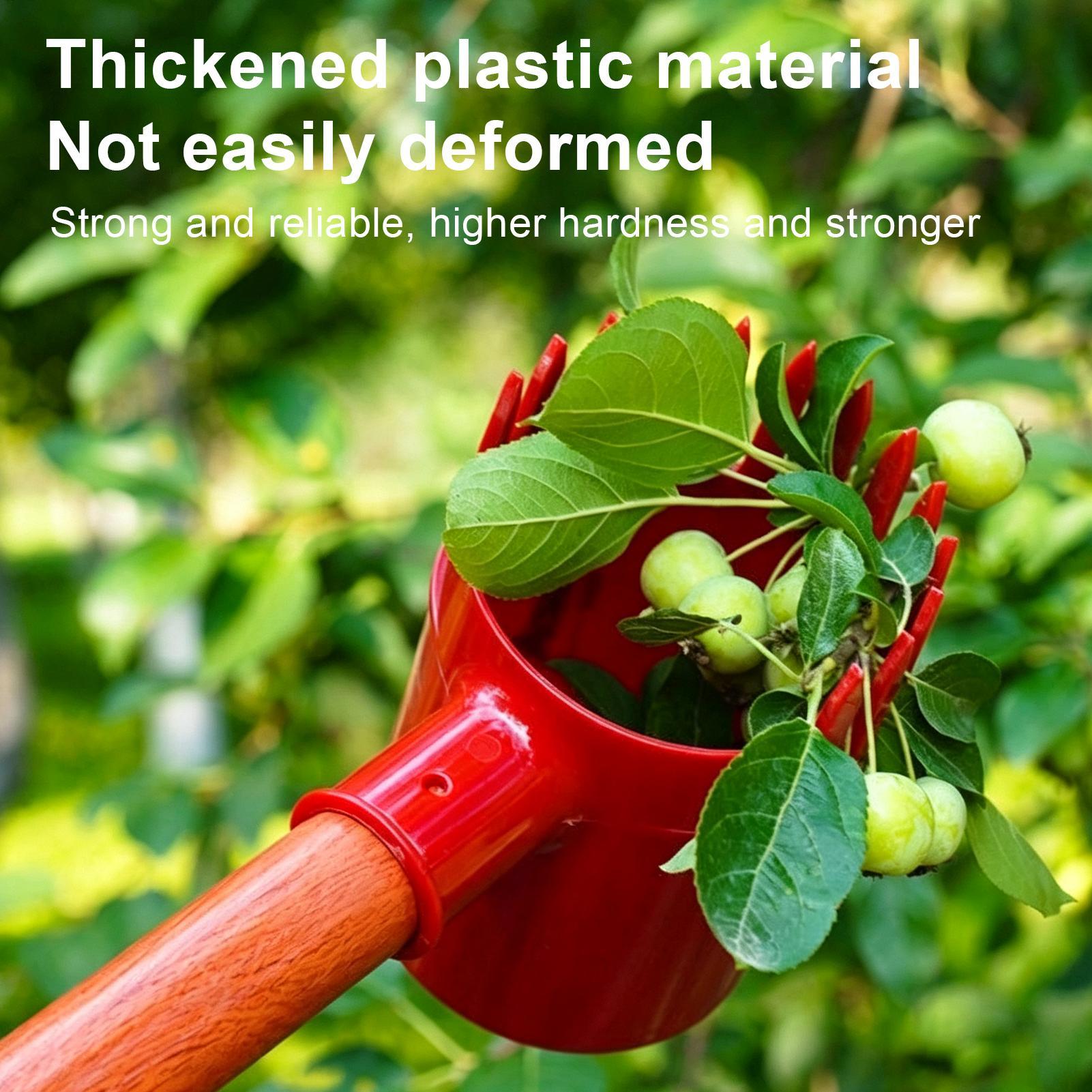 Fruit Harvester Tool Thickened - Gardening Tools Long review and price