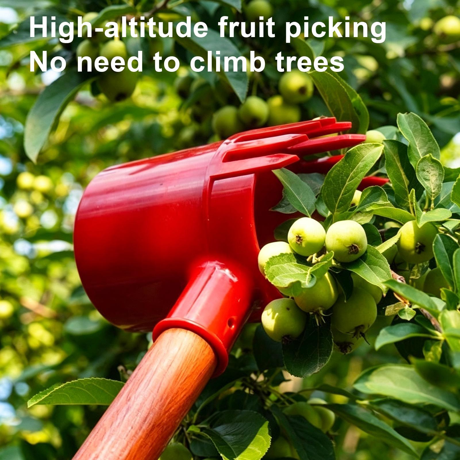 Fruit Harvester Tool Thickened - Gardening Tools Long review and price