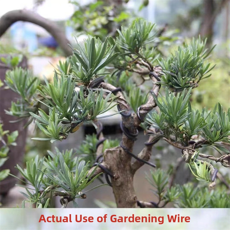 1.5MM Bonsai Wires Aluminum Bo - Gardening Tool Diy review and price