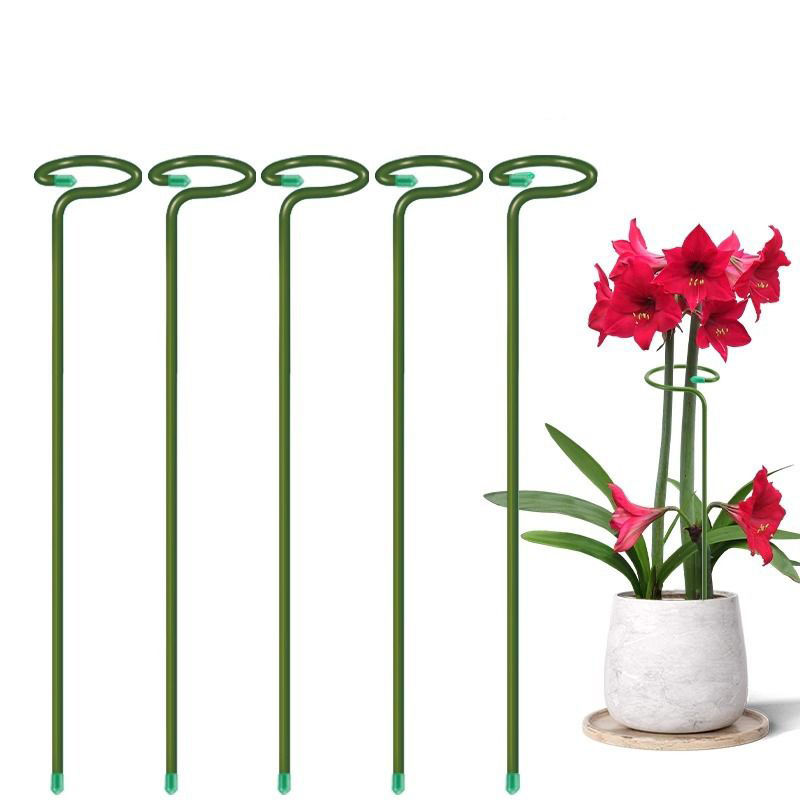 1-10pcs Metal Single Stem Plan - Plant Support Stake review and price