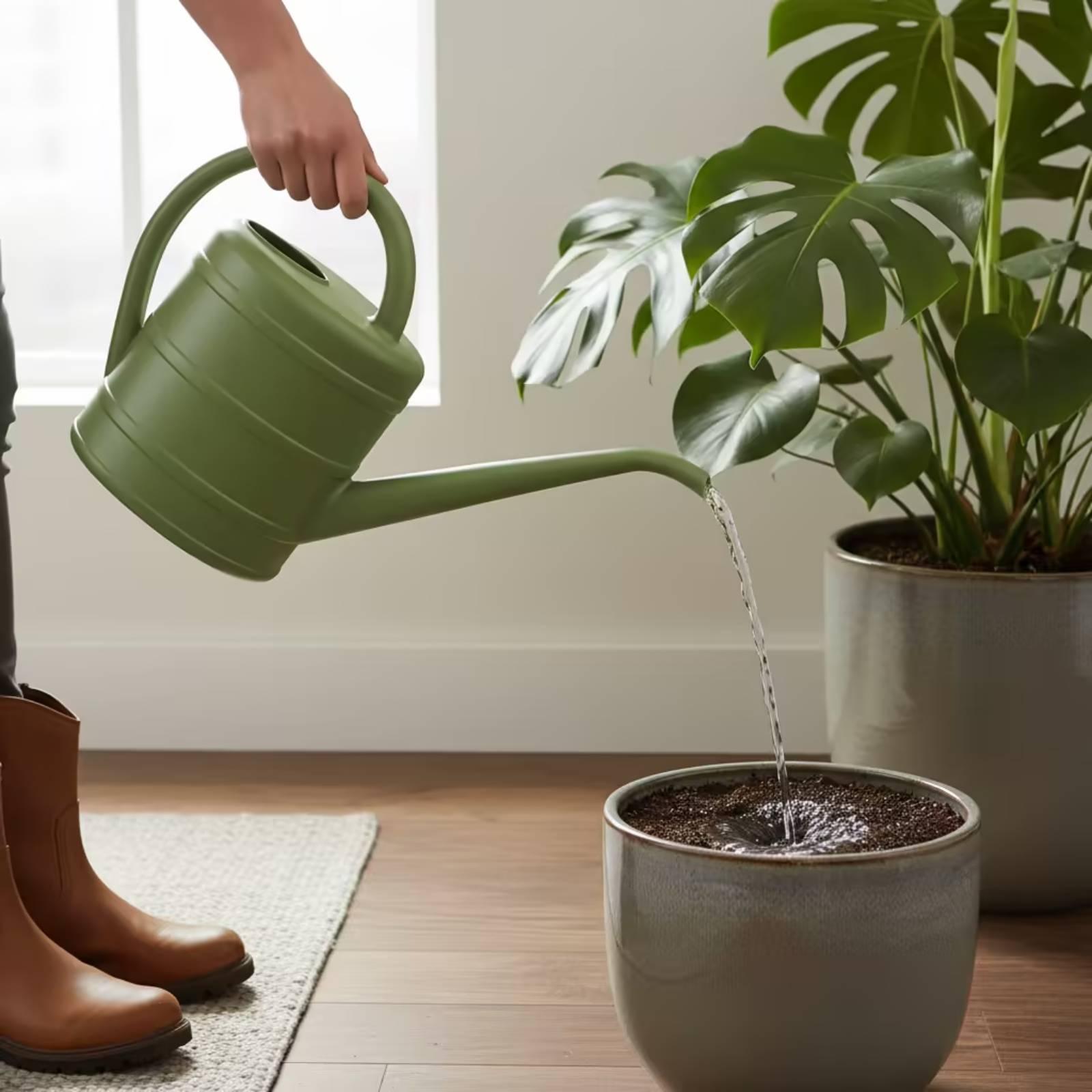 Watering Can with Long Spout E - Gardening Tools Long review and price