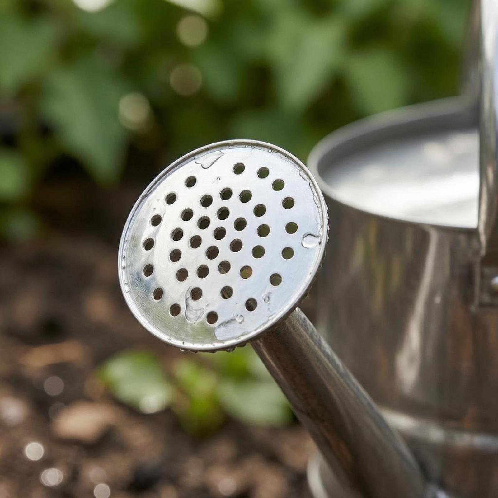 Garden Flower Watering Can Sta - Gardening Tools Long review and price