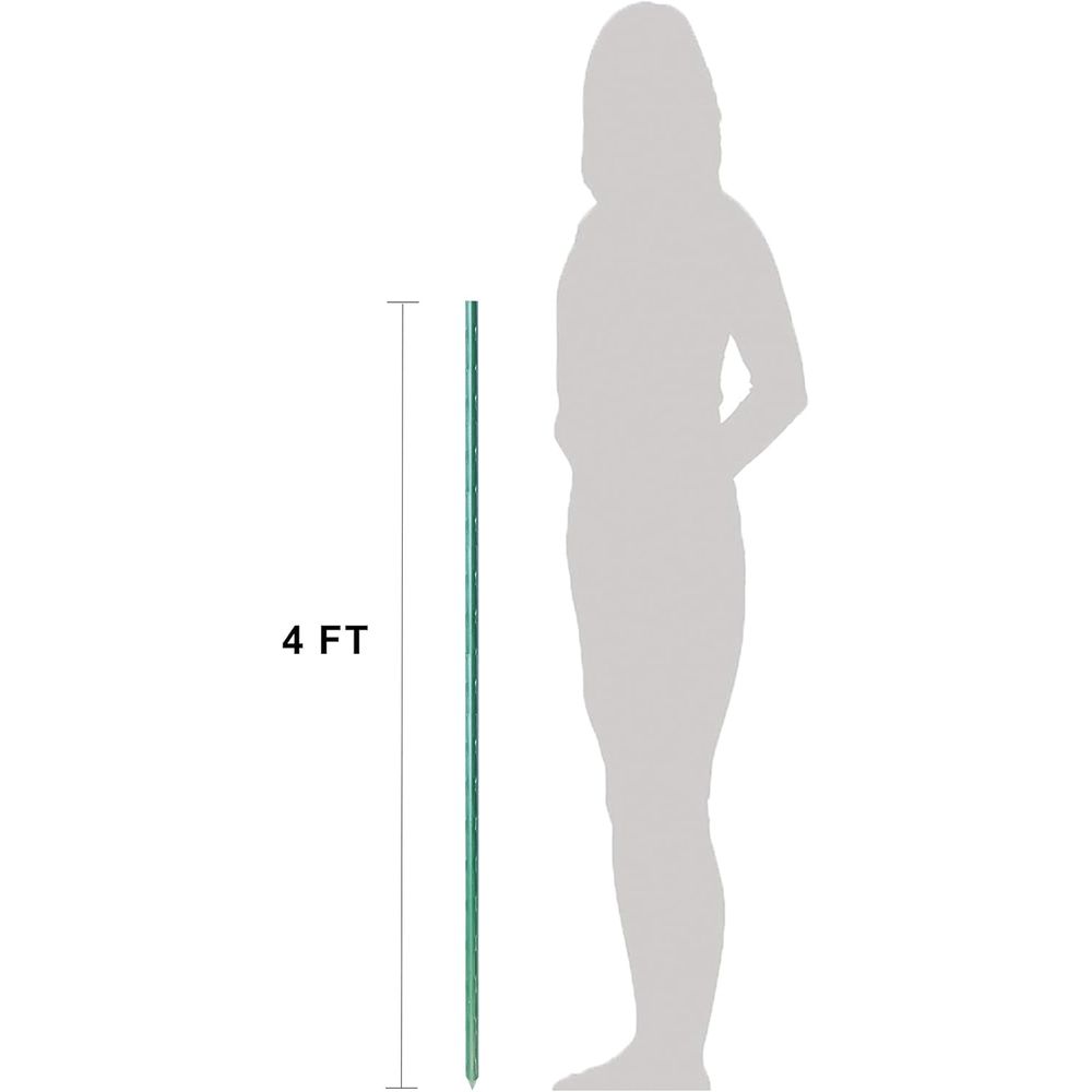 50-Piece 48-Inch Strong Tomato - Plant Support Stake review and price