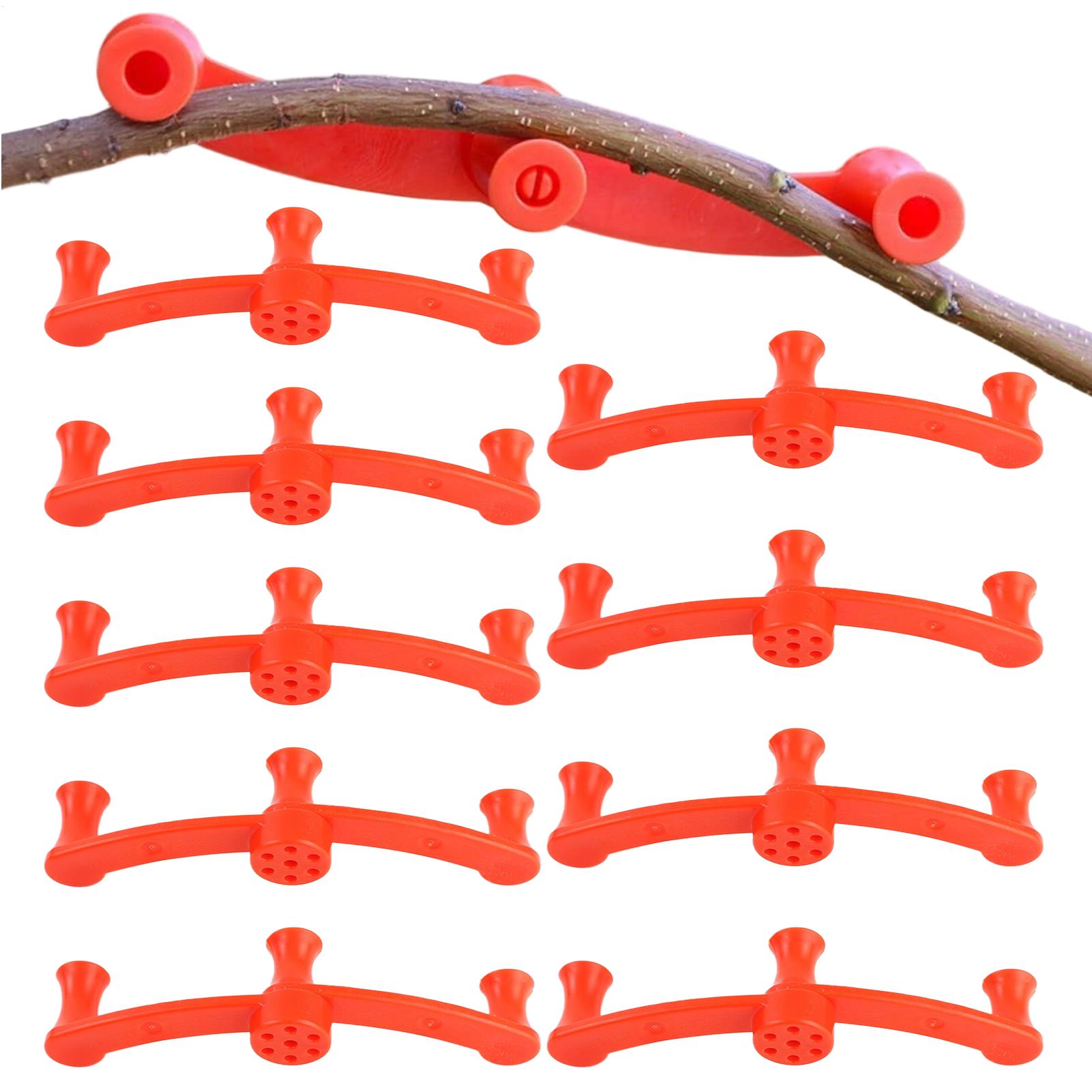 10pcs Plant Training Clips Tre - Gardening Tools Lowes review and price