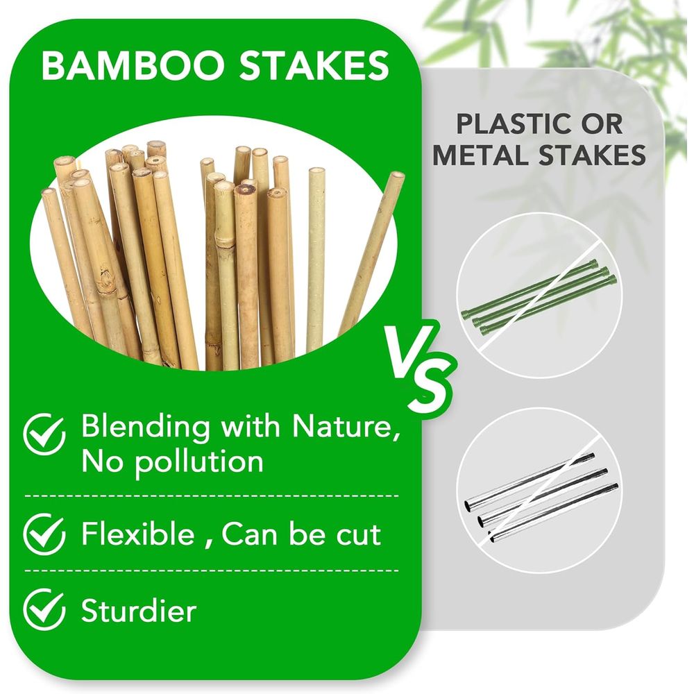 Set of 55 Bamboo Plant Stakes  - Plant Support Stake review and price