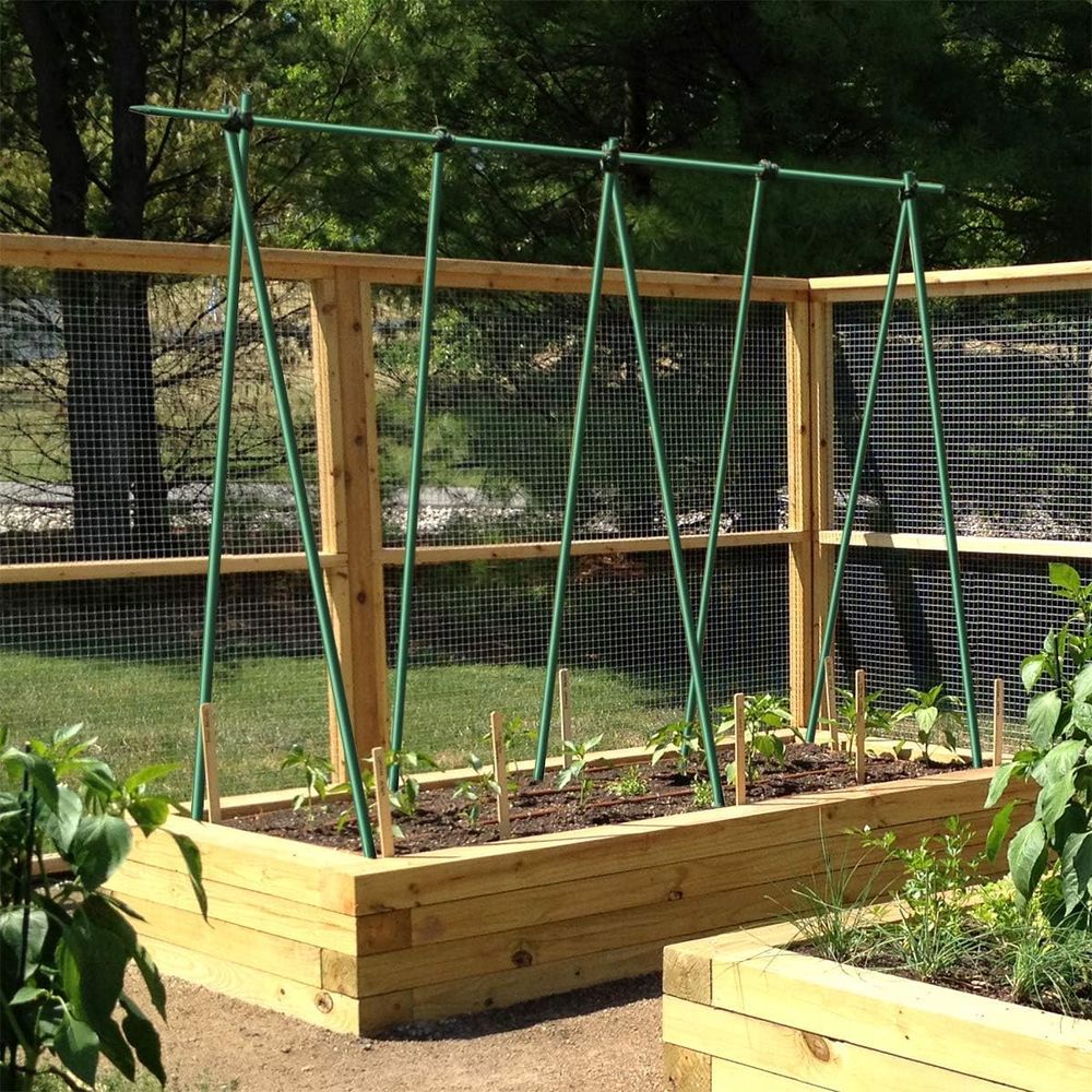 60-Inch 3/8 Diameter Garden Su - Plant Support Stake review and price